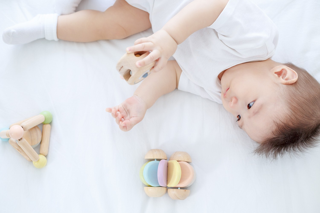 Plan Toys: Sustainable Play for Growing Minds