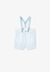 Linen Stripe Bermuda Shorts